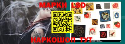 стаф Краснодар