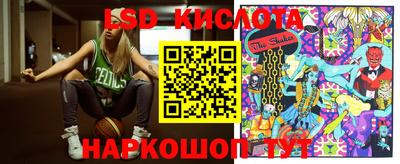 стаф Краснодар