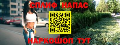 стаф Краснодар