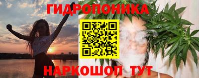 стаф Краснодар