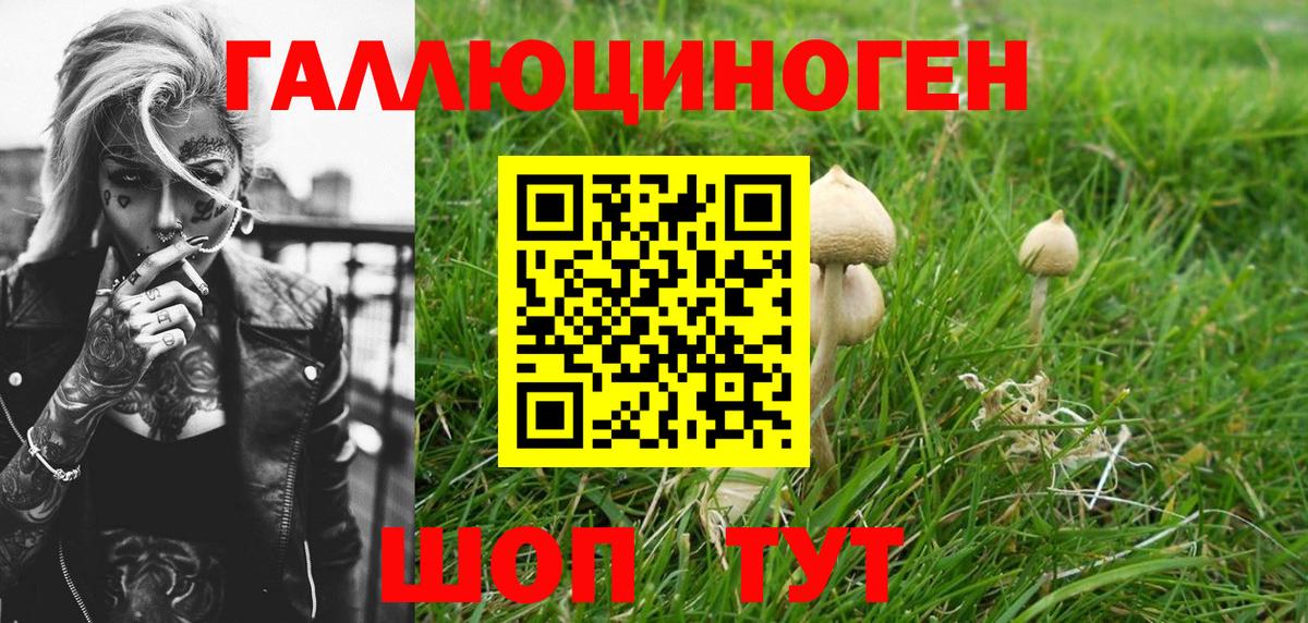 закладка  Галлюциногенные грибы прущие грибы  Вход с VPN  Йошкар-Ола 